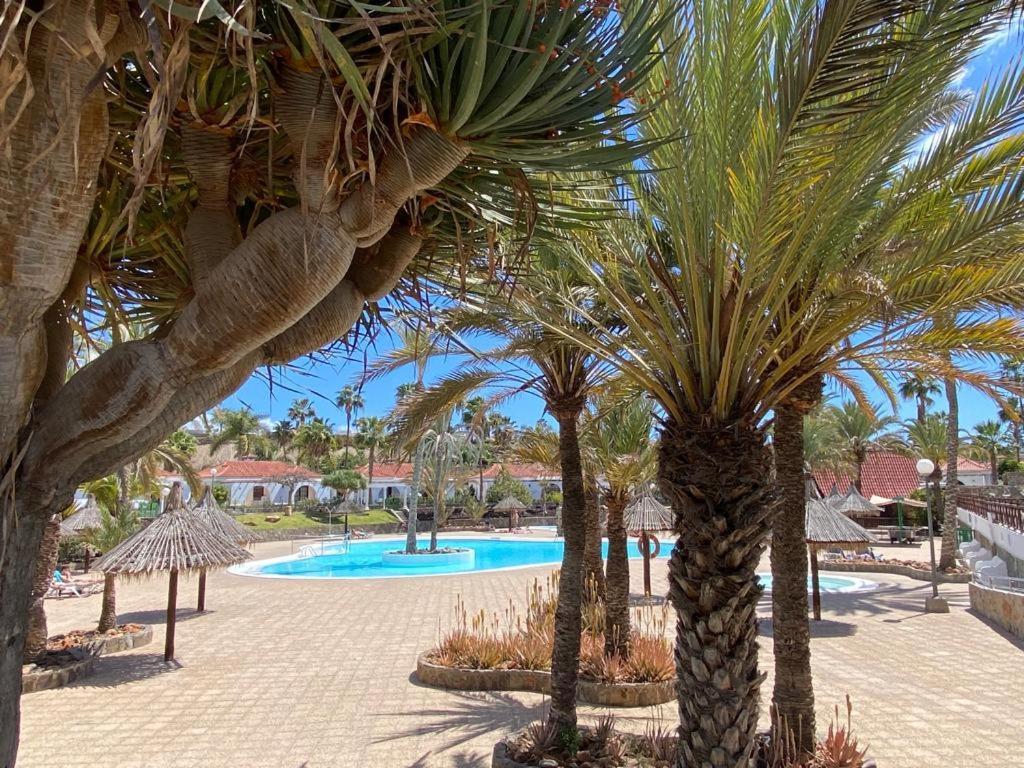 Bungalow Parque Golf By Sunhousescanarias Maspalomas  Exteriör bild